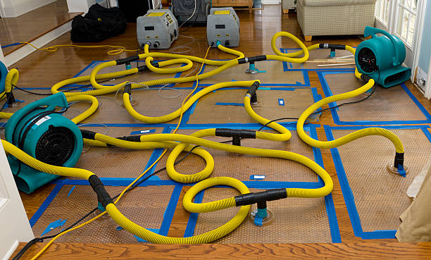 Professional Crawl Space Water Removal technician working in Denton, NC